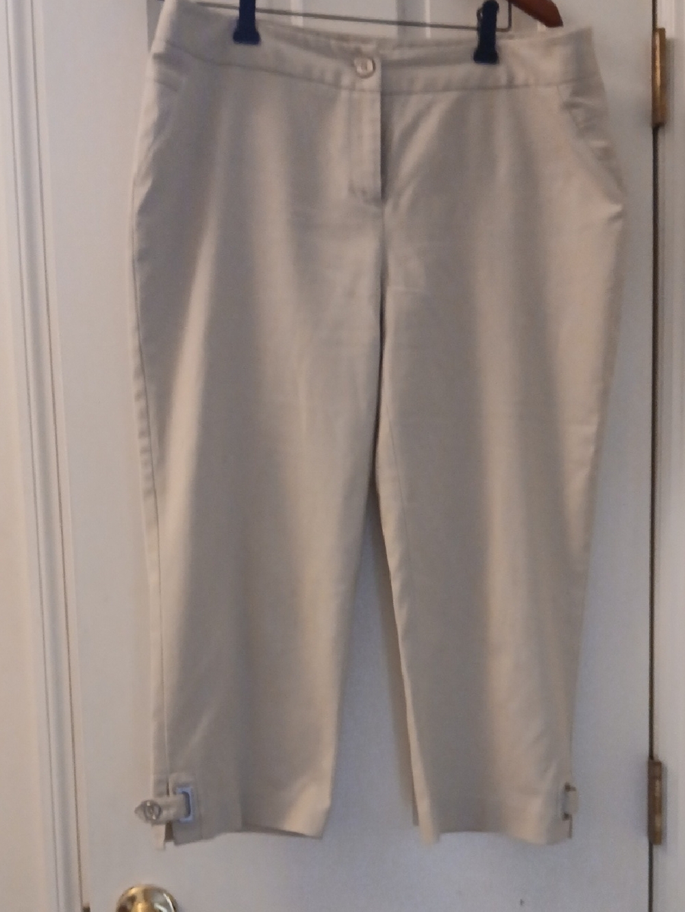 Rafaella Light Beige Cropped Ankle Pants